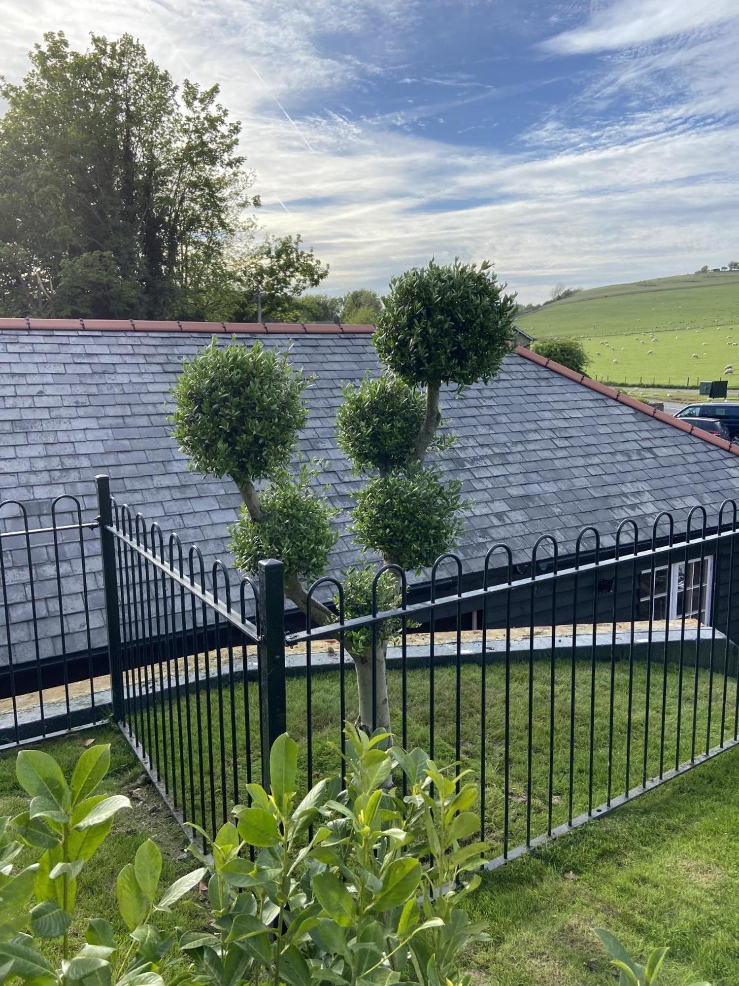 The Lydden Bell Bed & Breakfast Exterior photo